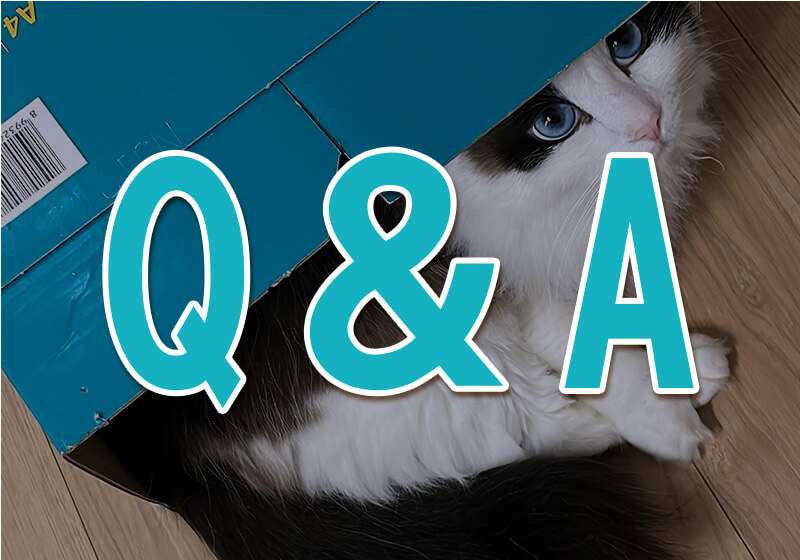 全自動猫トイレの購入前に確認すべき、よくある質問とその回答をまとめたQ&Aセクションの画像。