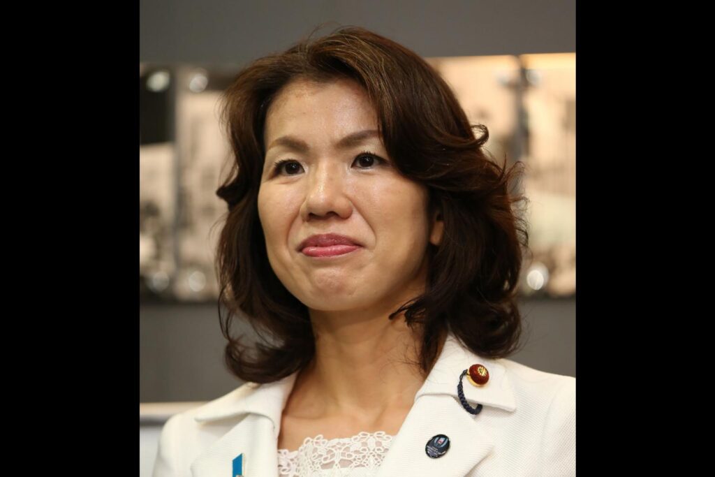 japan politics 1